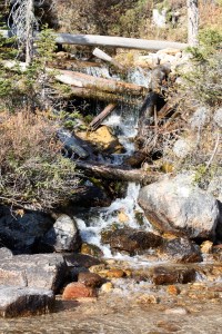 redfish lake sawtooth mountains idaho redfish lake sawtooth mountains idaho