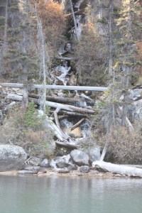 redfish lake sawtooth mountains idaho redfish lake sawtooth mountains idaho